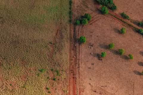rural landscape