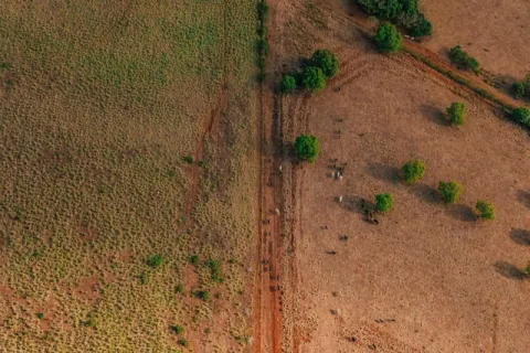 rural landscape