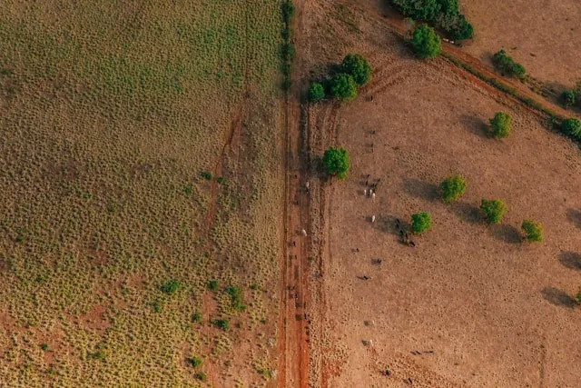 rural landscape